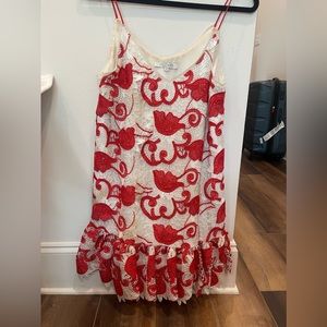 Alexis crochet mini dress